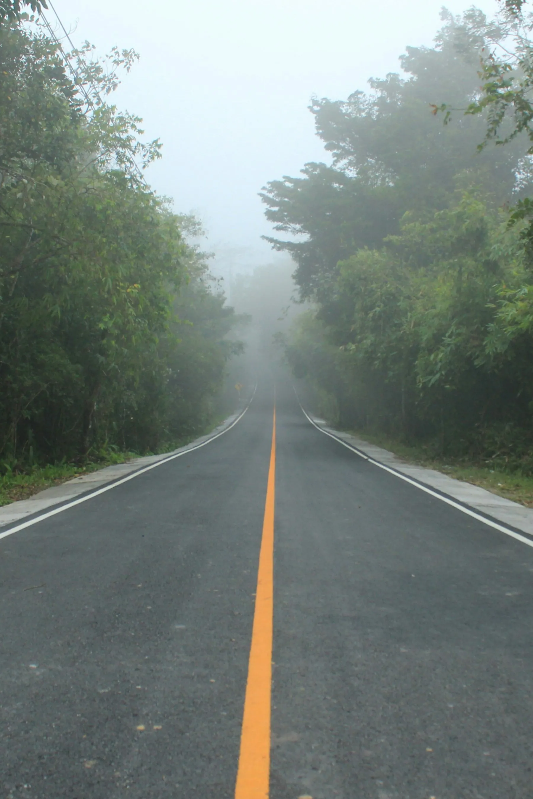 An empty two-lane road with a yellow centre line running dead straight into morning haze between trees