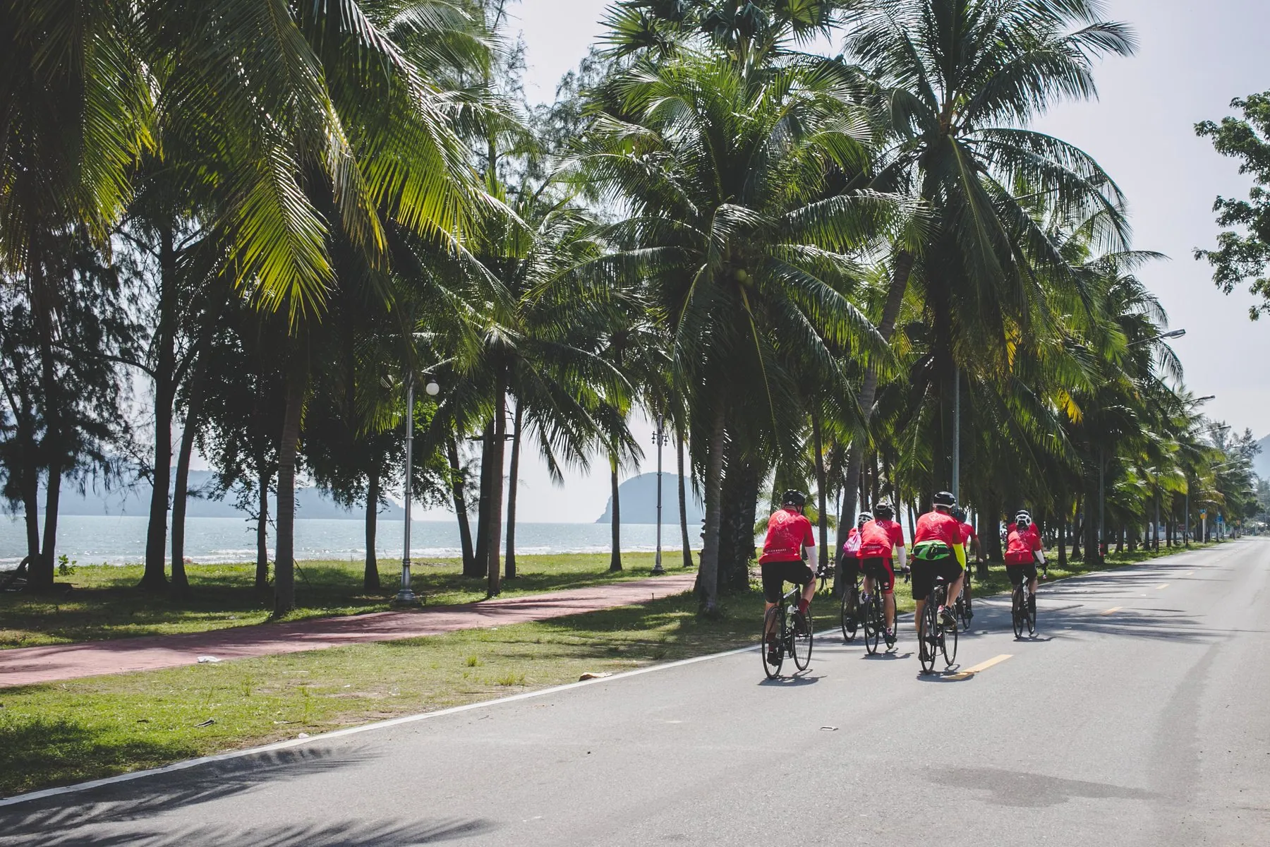 A group of cyclists in red jerseys riding in single file down a coastal road lined with coconut palms in Thailand