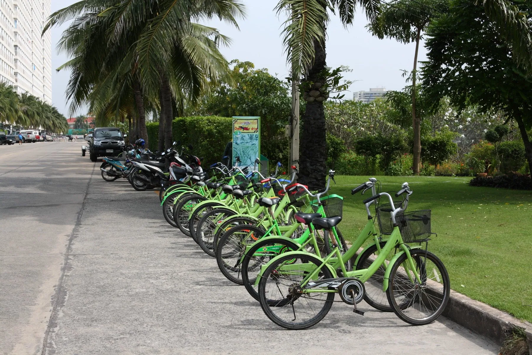 A long row of identical green loan bicycles parked on a kerb beneath palm trees at Jomtien in Thailand