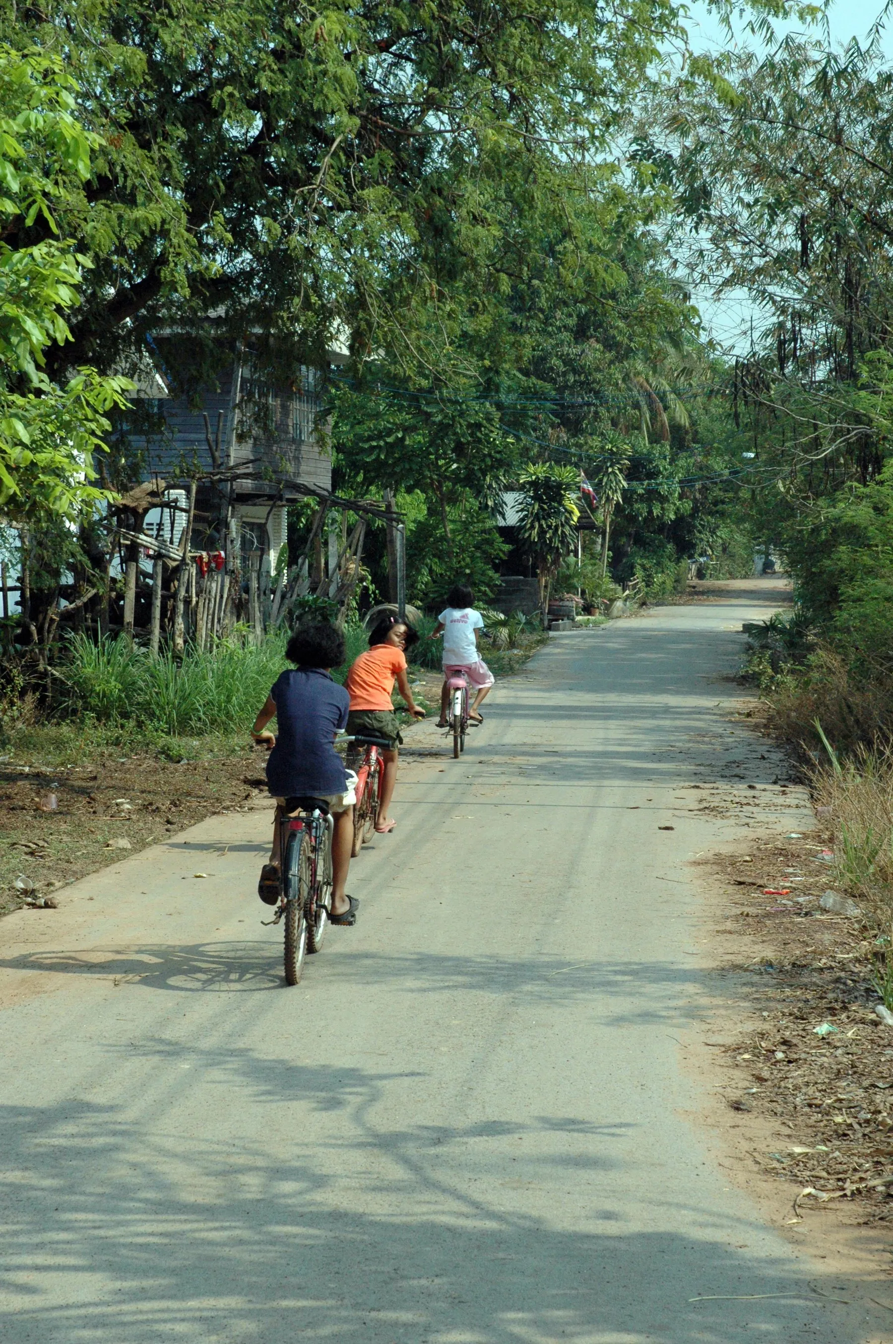 Children cycling away from the camera down a quiet paved village lane in Thailand, trees on both sides