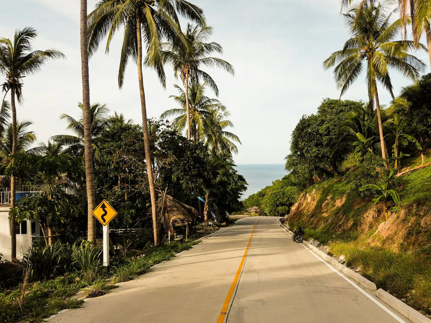 A narrow coastal road curving downhill between palms with a yellow bend-warning sign