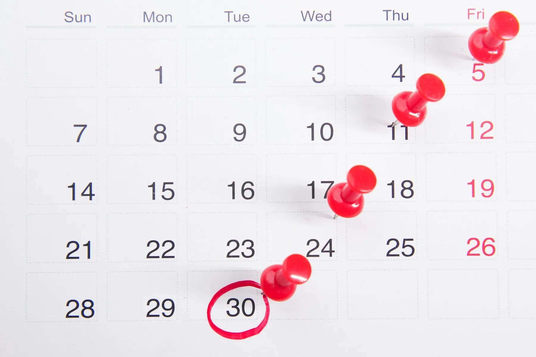 A month calendar with red drawing pins on several dates and one date ringed in red
