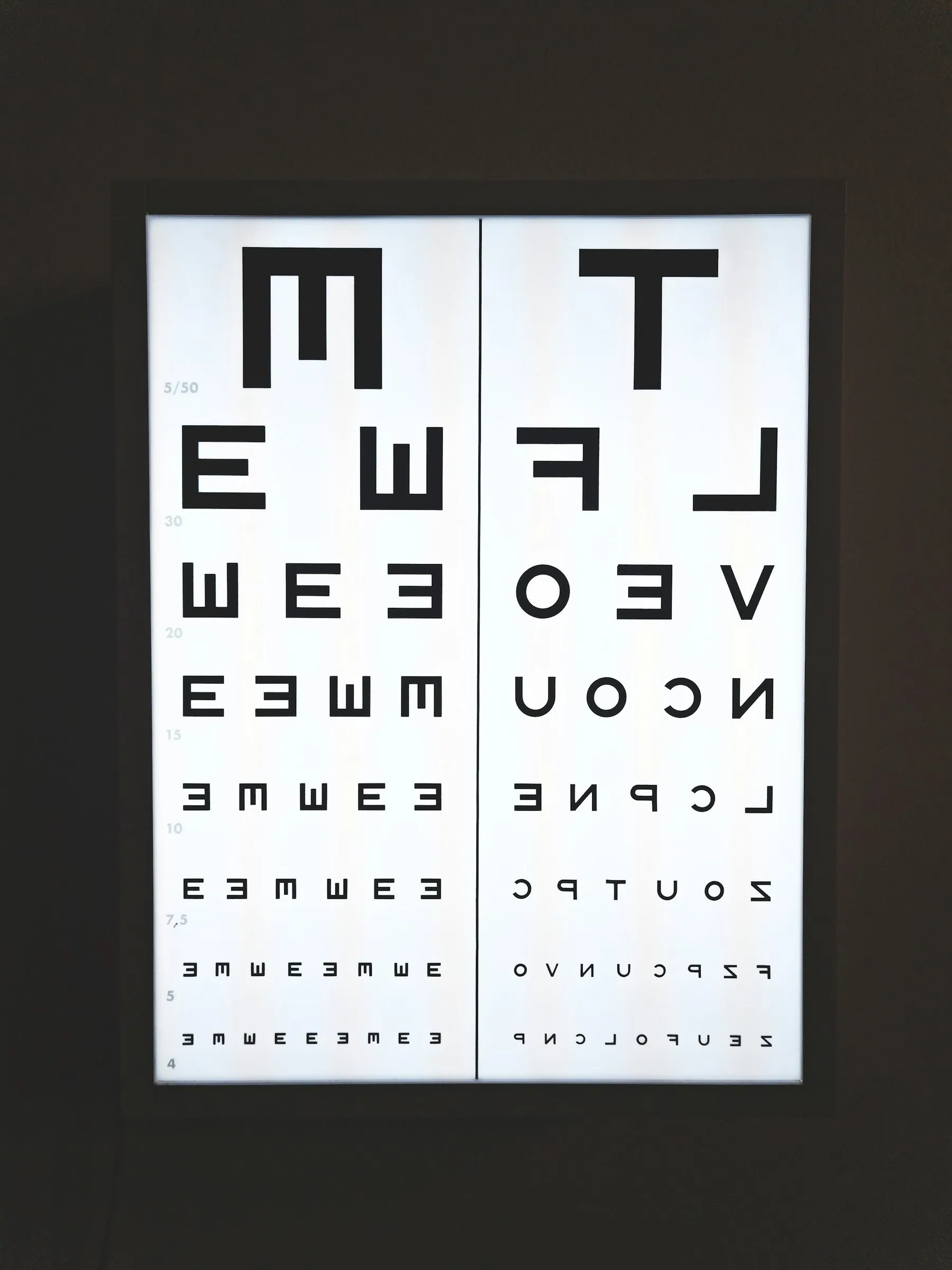A pair of eye-test charts mounted side by side in a dark frame on a wall