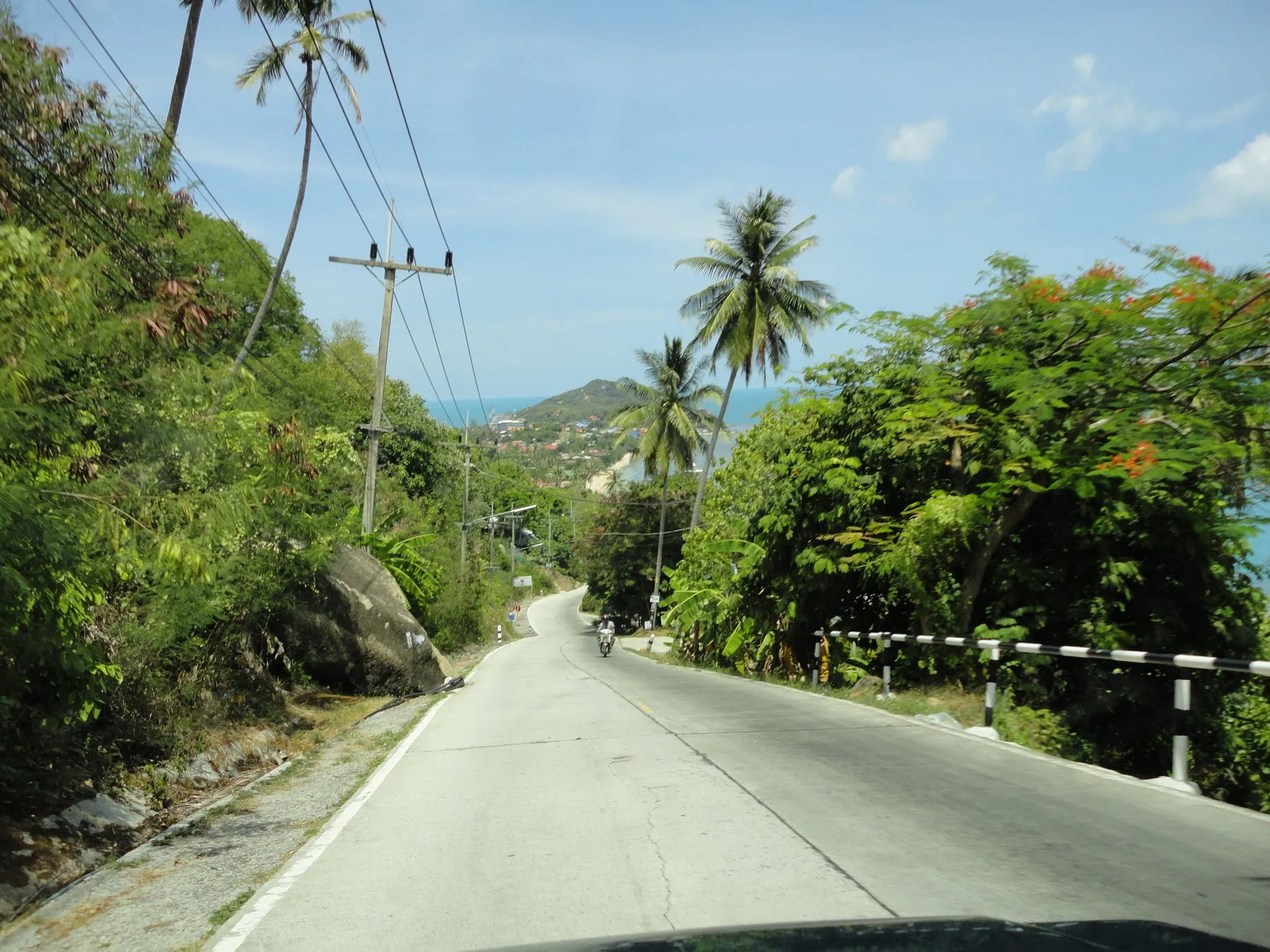 The steep concrete hill road down to Haad Rin on Koh Phangan, palms crowding both verges