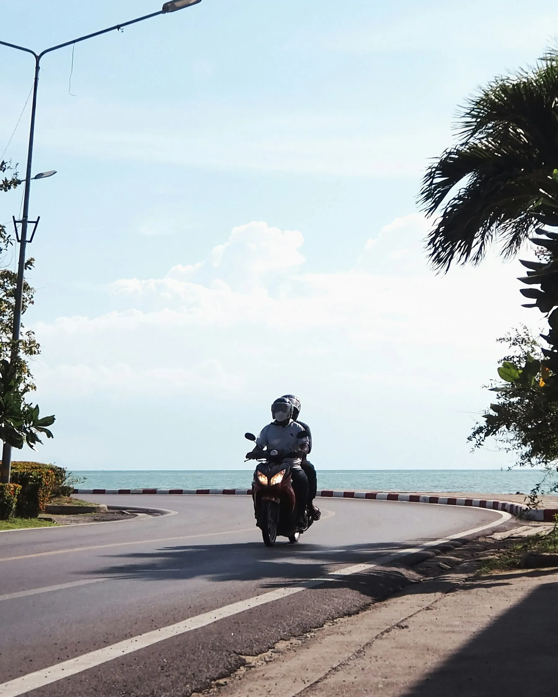 A lone rider on a coast road with the sea opening out beyond a line of palms