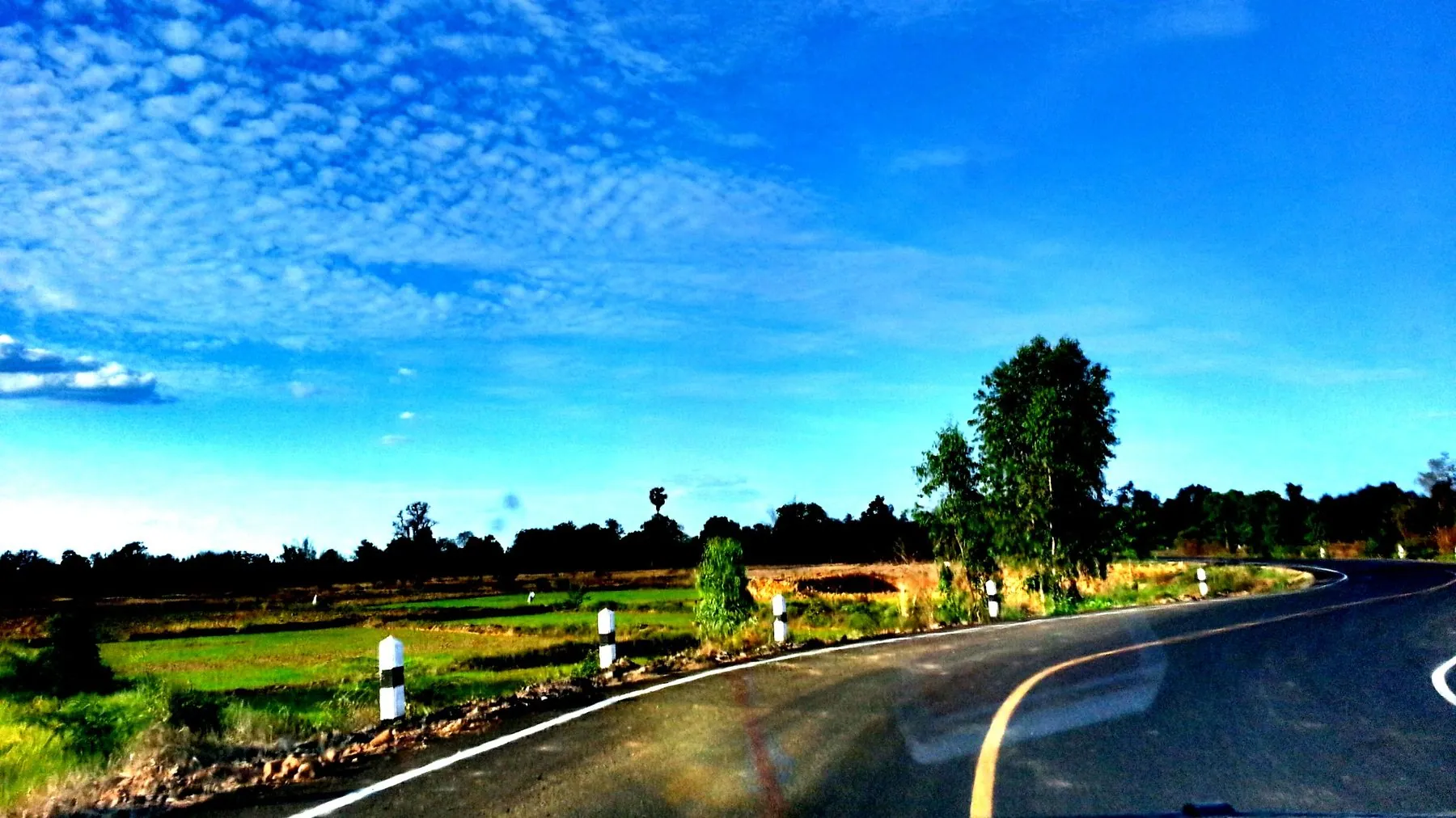 An empty rural road curving between paddy fields in Sisaket province under a deep blue sky