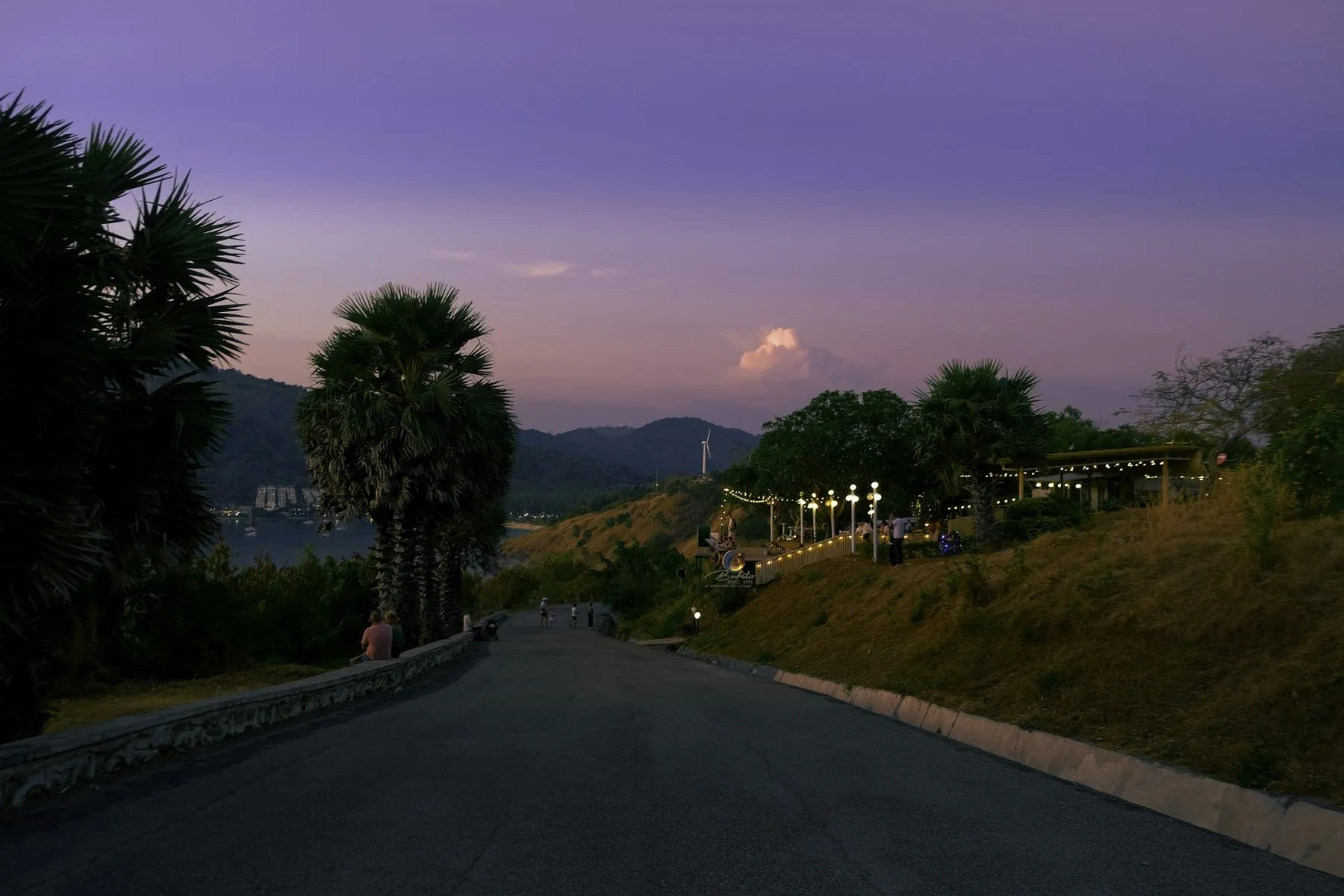 A road climbing towards a wooded hill on Phuket at dusk, palms silhouetted against a violet sky