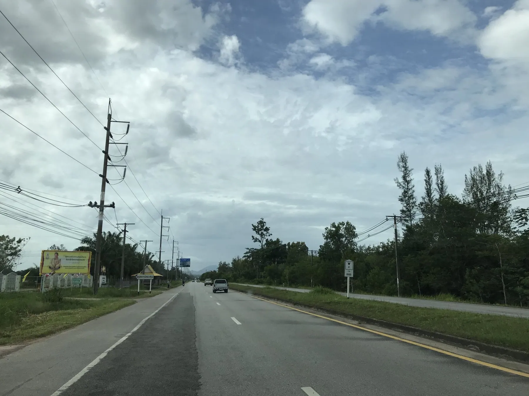 Highway 4 between Krabi and Khlong Thom at the kilometre 1000 post, rubber trees along the verge