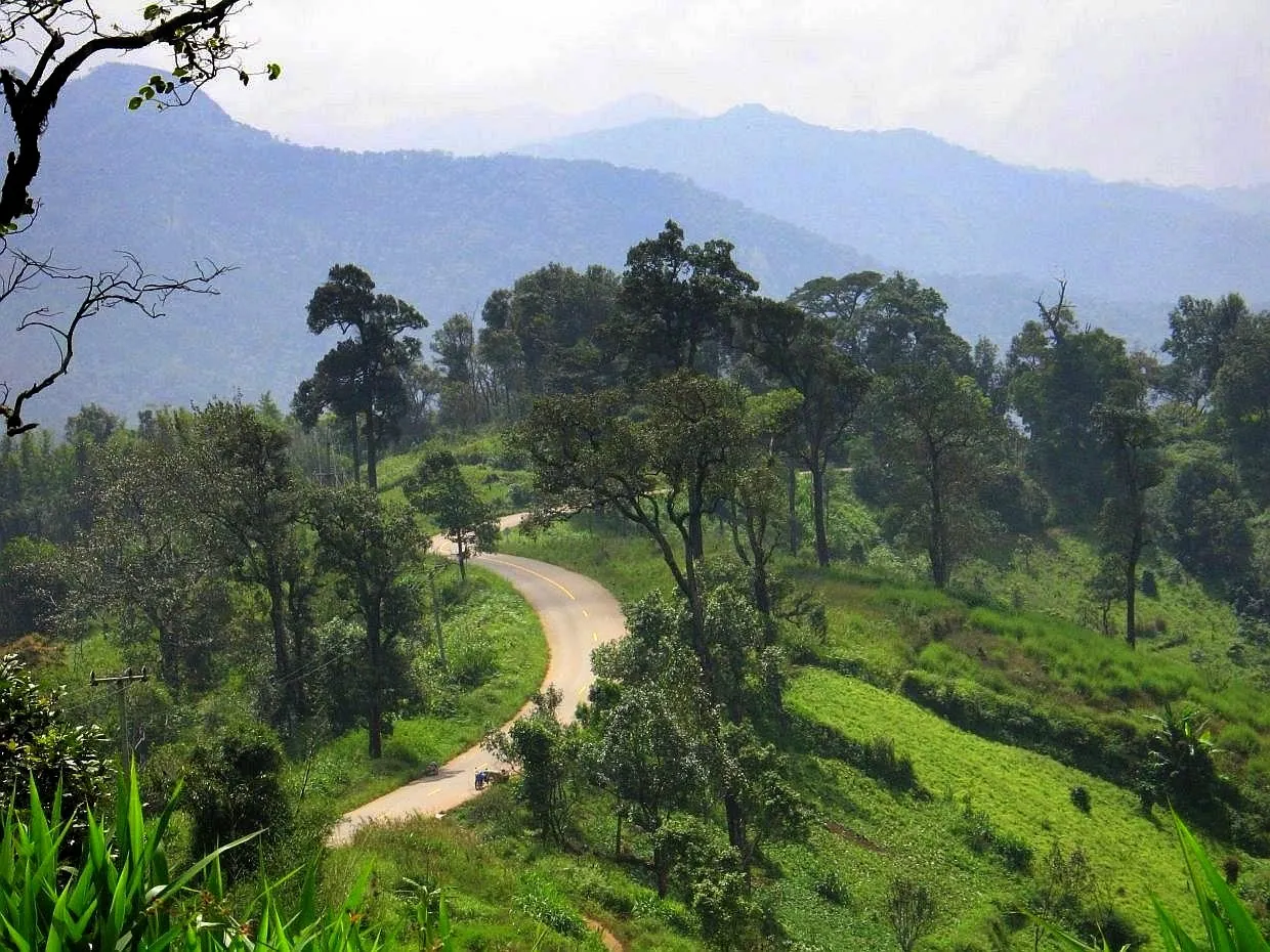 A narrow mountain road winding down through terraced green hillsides in Chiang Mai province