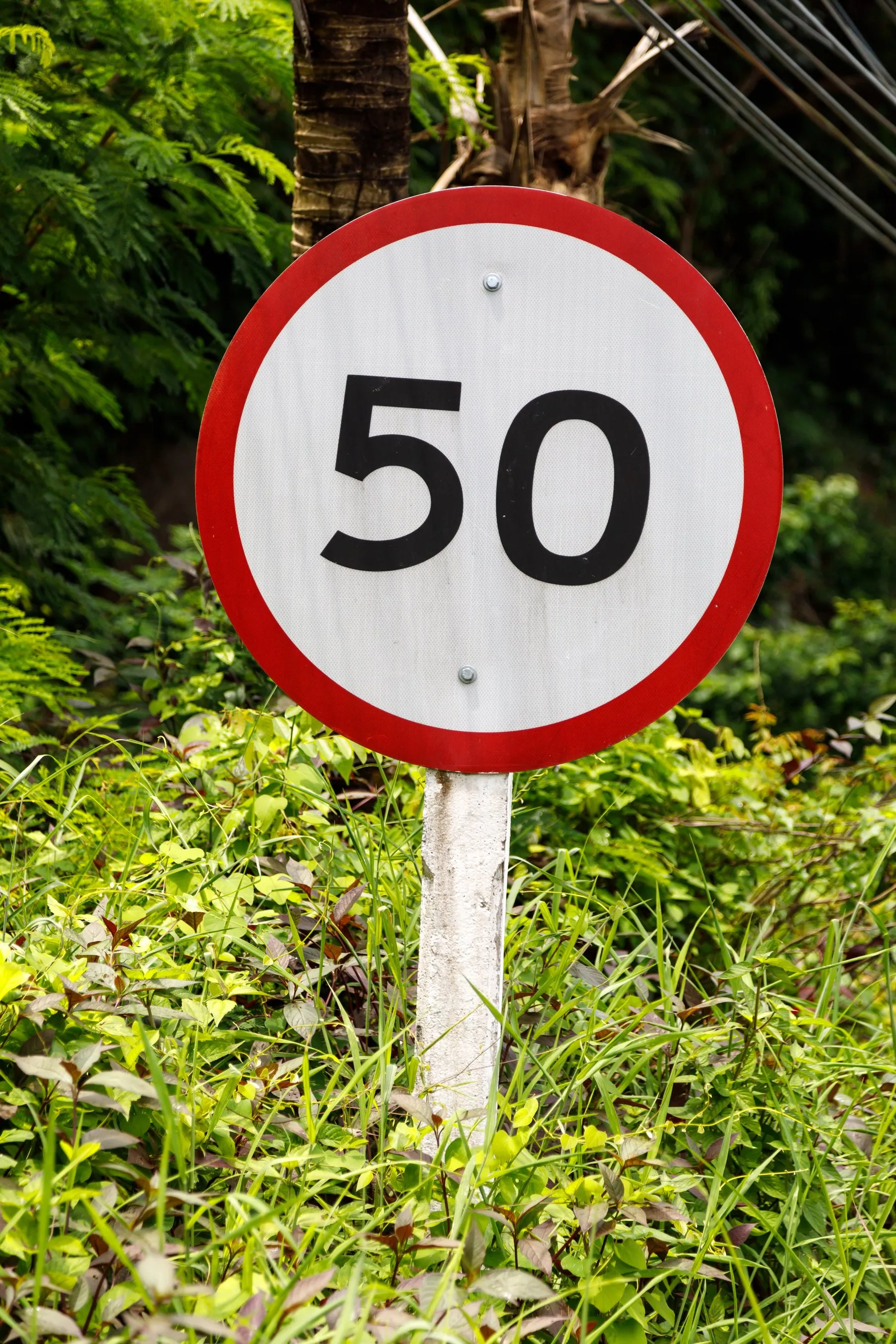 A 50 km/h regulatory speed-limit sign on a Thai roadside pole against a bright sky