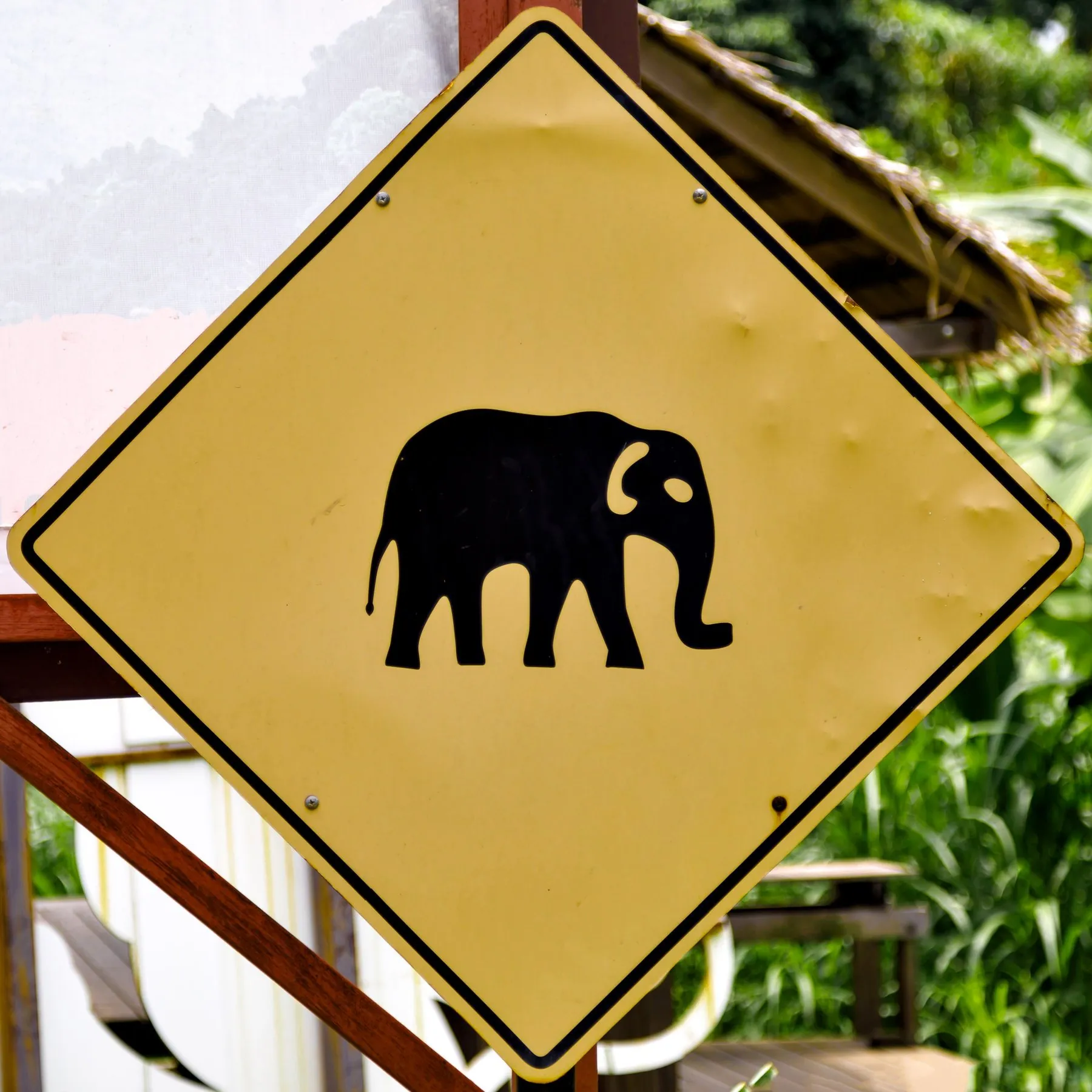 A yellow diamond Thai warning sign showing the silhouette of an elephant, photographed near Patong in Phuket