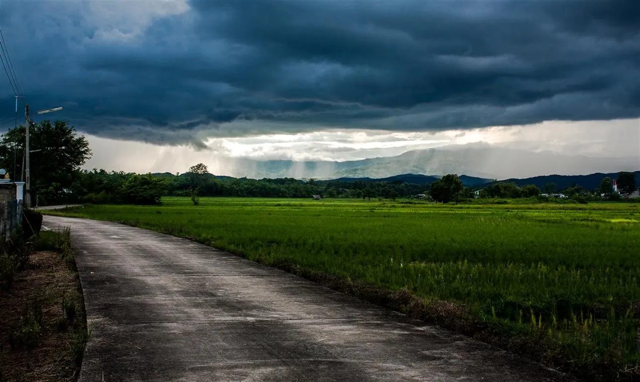 A narrow road running beside flooded paddy fields with a black rain squall sweeping across the hills beyond